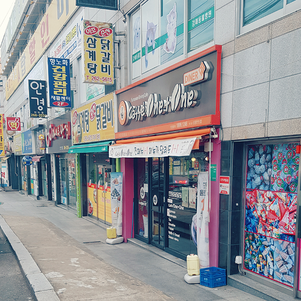 카페플러스카페인충전 이미지