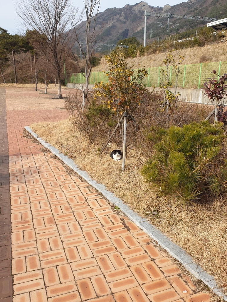30년전통할매국수 이미지