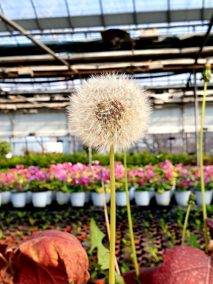 강산종합식품 이미지