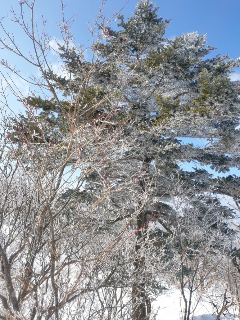 원샷파워플러스 이미지
