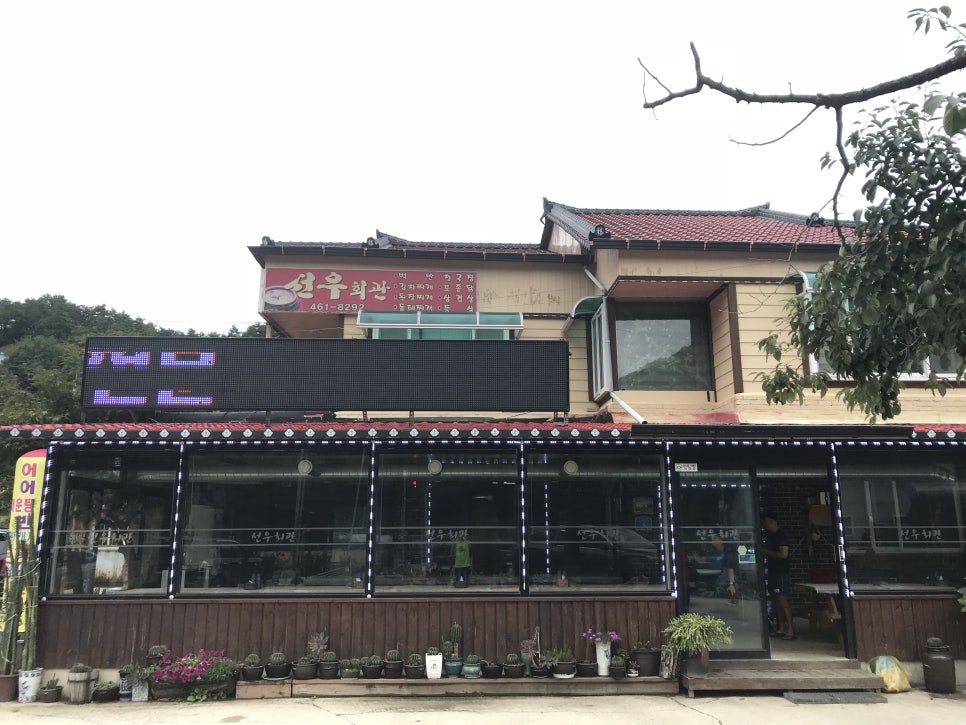선우회관 이미지