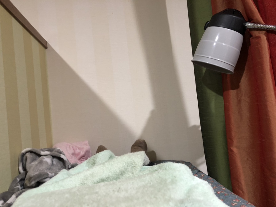 베라타오 이미지