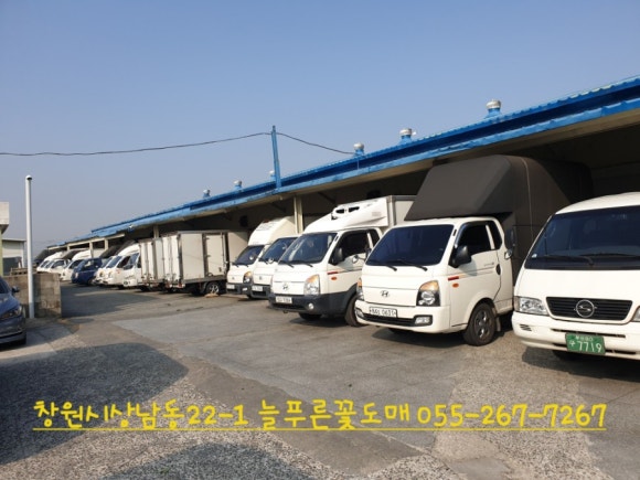 꽃영남 이미지