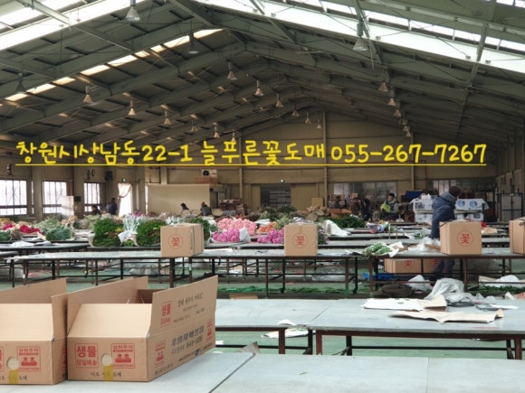 꽃영남 이미지