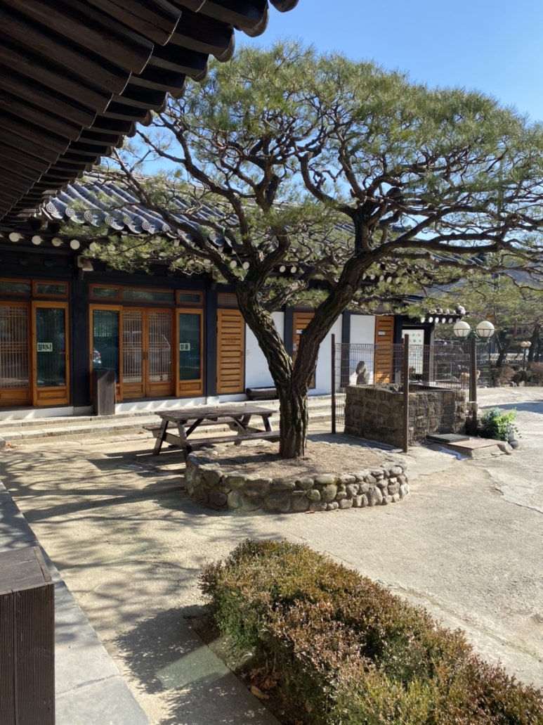 네파남한 이미지