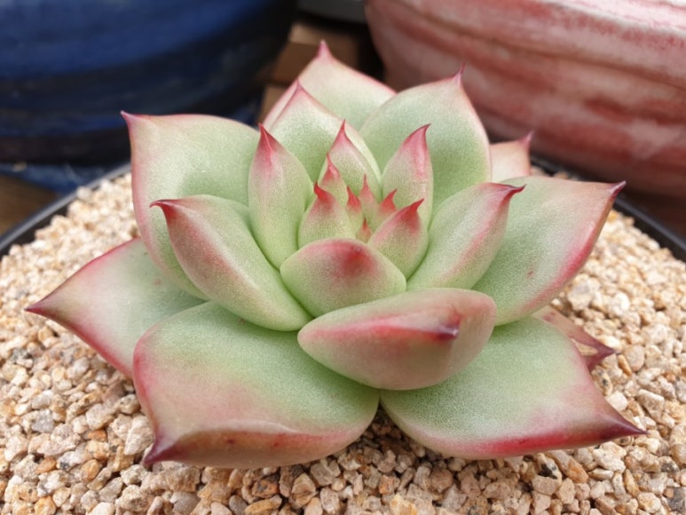 마리아유통 이미지