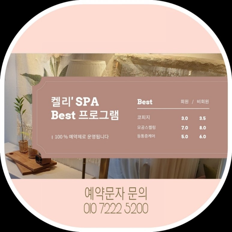 켈리스파 이미지