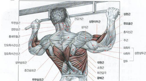 드림바디휘트니스 이미지