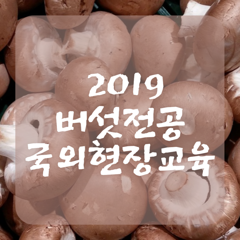 (주)지앤비여행사 이미지