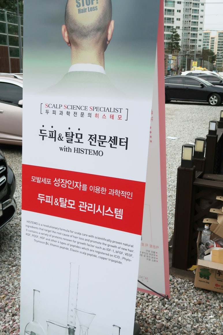 뷰티로망스 이미지
