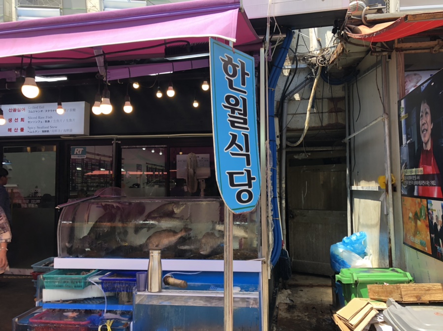 한월 이미지