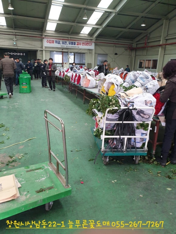꽃영남 이미지