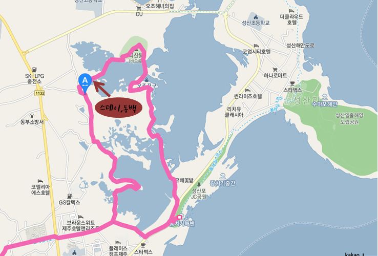 스테이동백 이미지