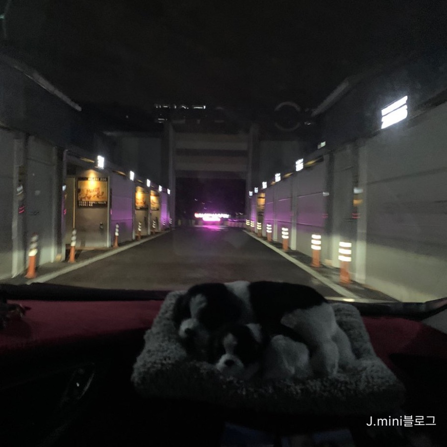 드림무인텔 이미지