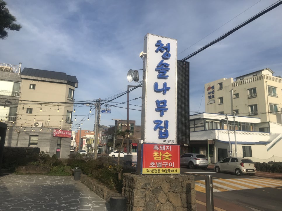 든든한나무 이미지
