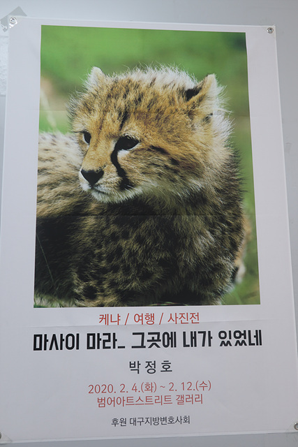 박아트 이미지
