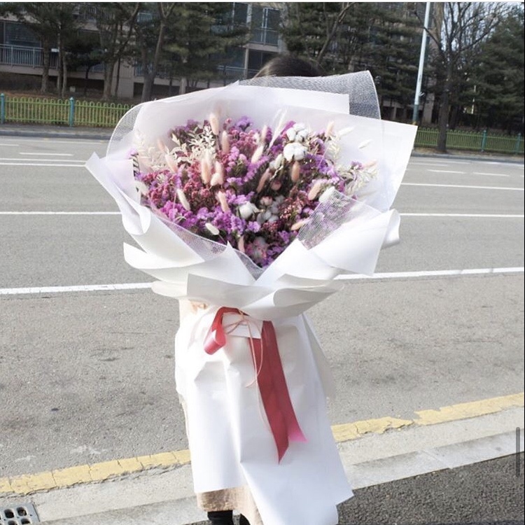 브리앙떼플라워 이미지
