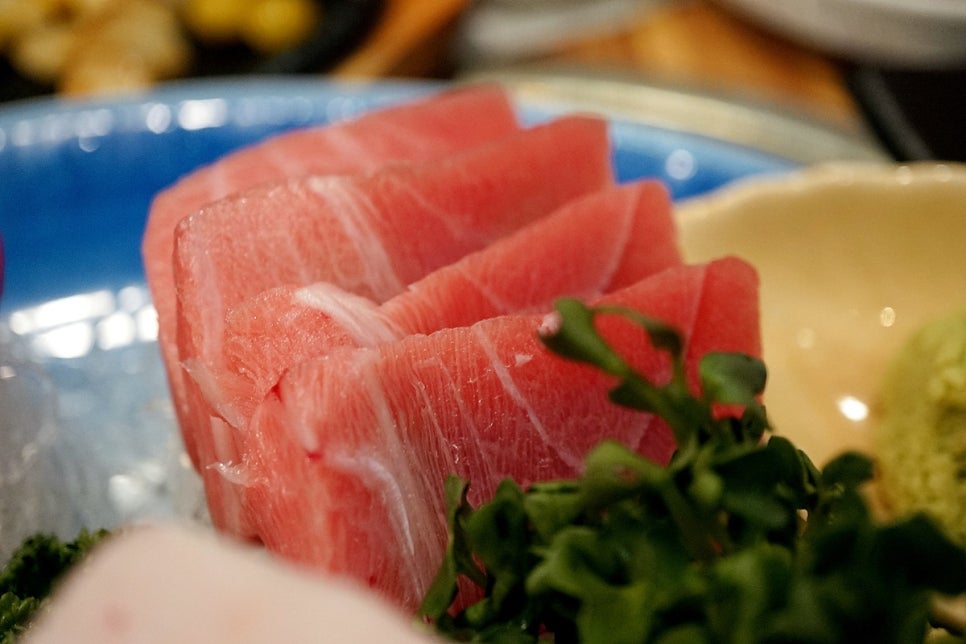 강참치 이미지