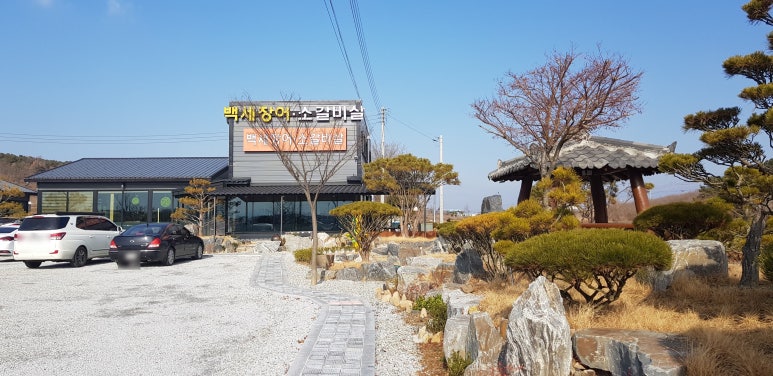 백세투어 이미지