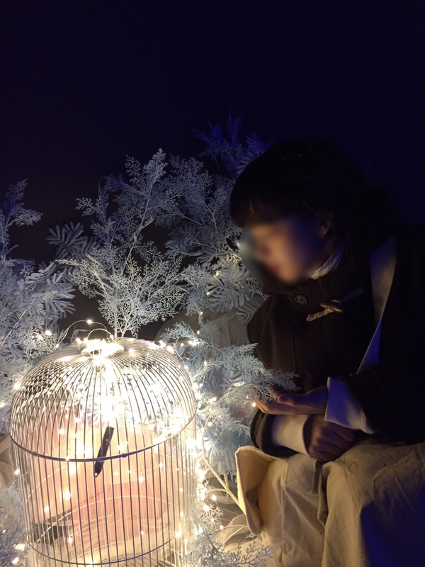 파랑새사진관 이미지