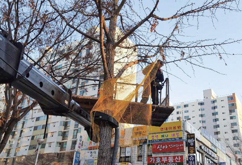 법동삼익소월상가 이미지