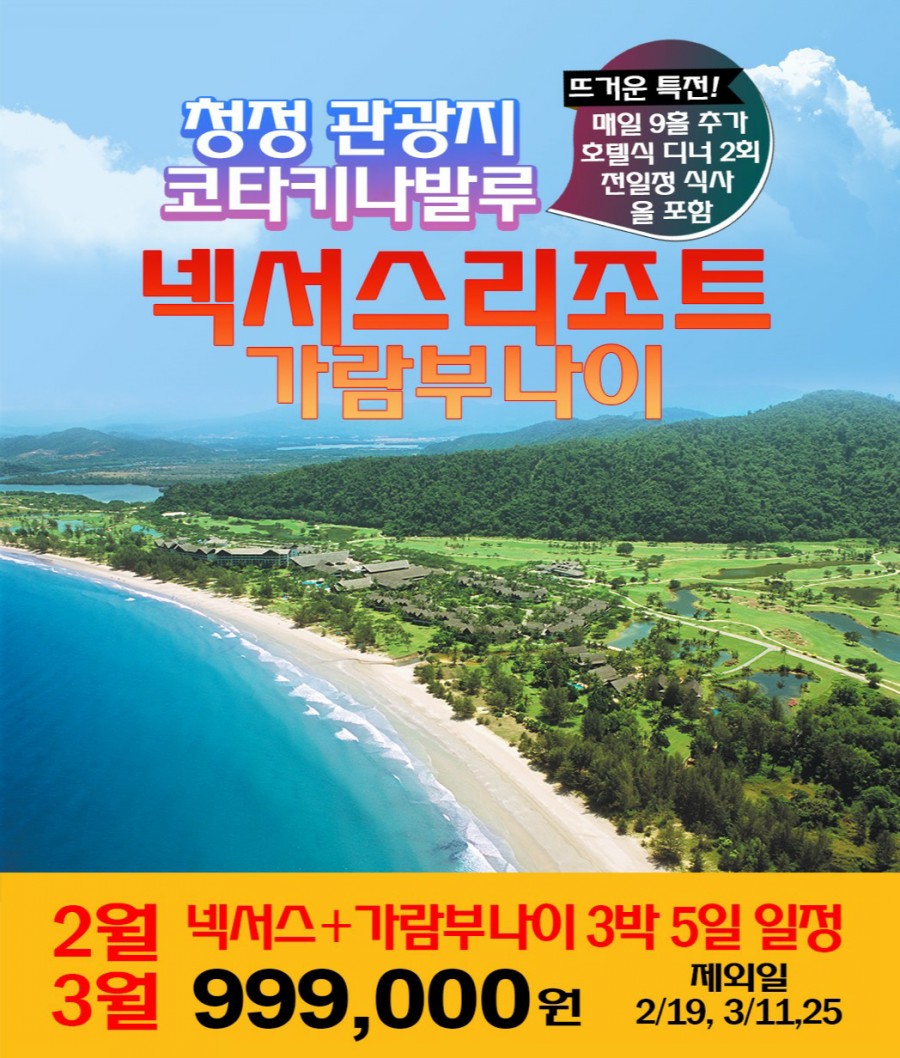 넥서스투어 이미지