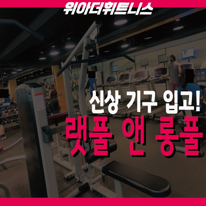 위아더휘트니스 이미지