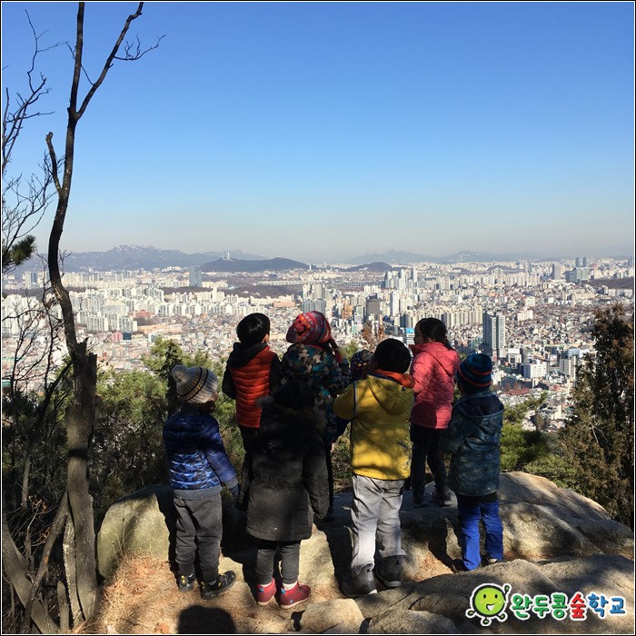 숲속에서 이미지