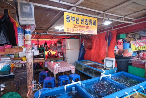 등부선선장협회 이미지