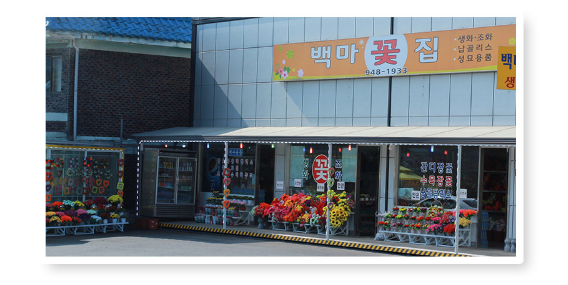 백마상회 이미지