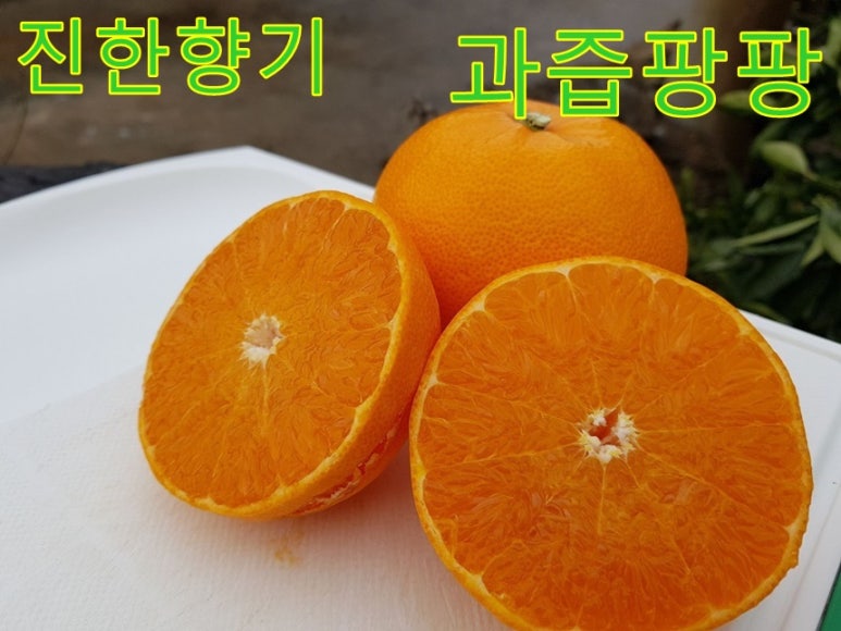 현이네과일 이미지