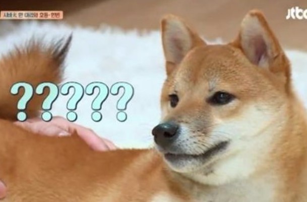 해피여행사 이미지