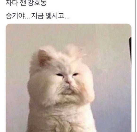 칭찐 이미지