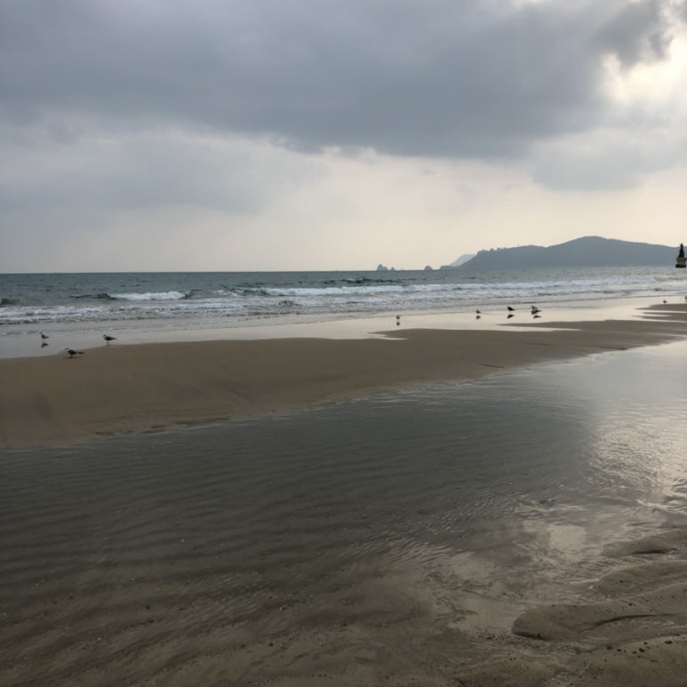 어메이징이스케이프 이미지