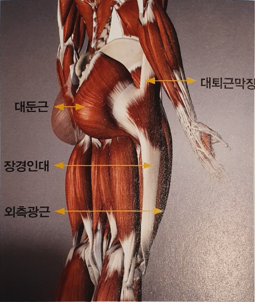 코코짐 이미지