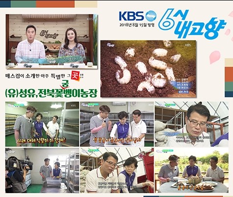 (유)성유 농업회사법인 이미지