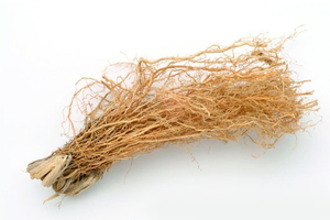 베티버(vetiver) 이미지