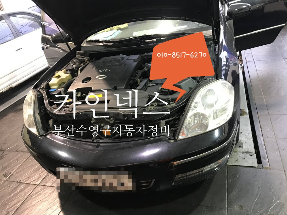 카인넥스 이미지