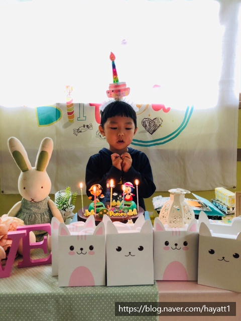 파란숲 이미지