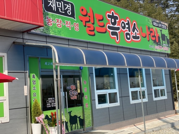 채민경월드흑염소나라 이미지
