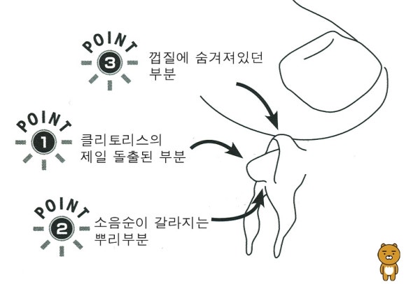 클리토스,클리토리스,음핵, 여자 애무방법, 위치를 알아볼게요.!! : 네이버 블로그