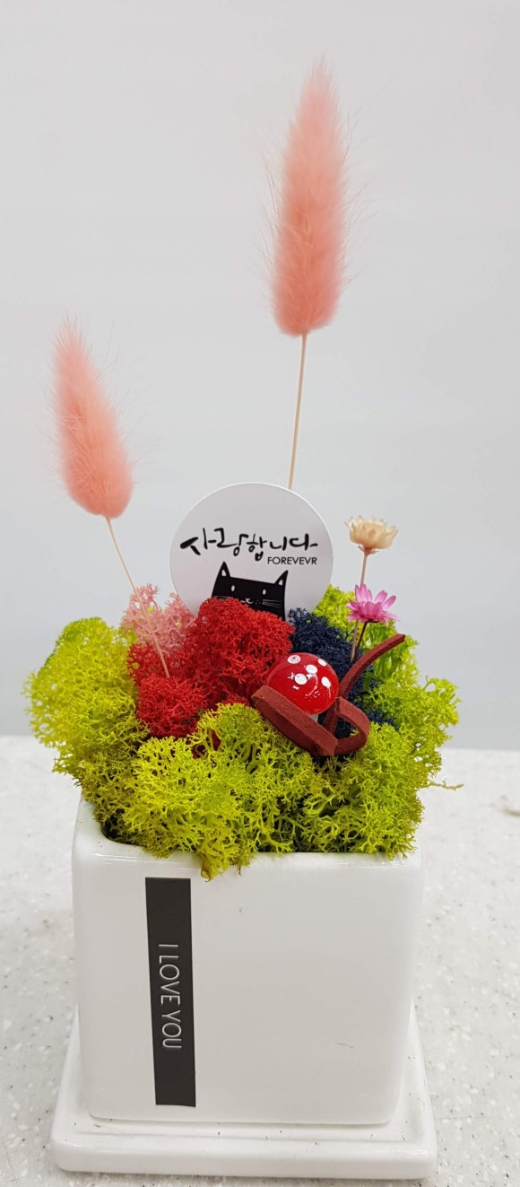 연일플라워 이미지