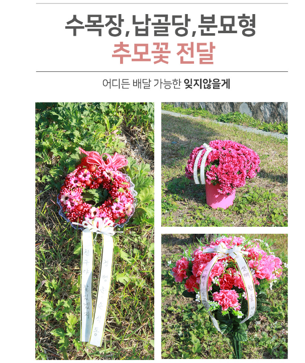 백마상회 이미지