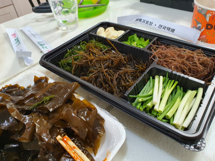 해초과메기 이미지