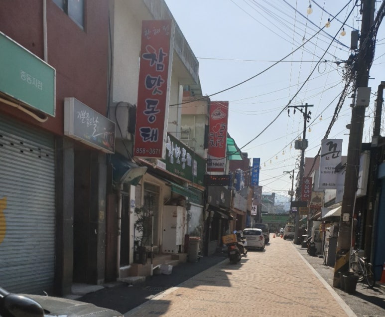 한혜정참맛동태 이미지