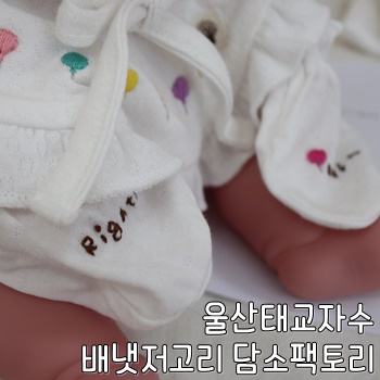 콩알팩토리 이미지