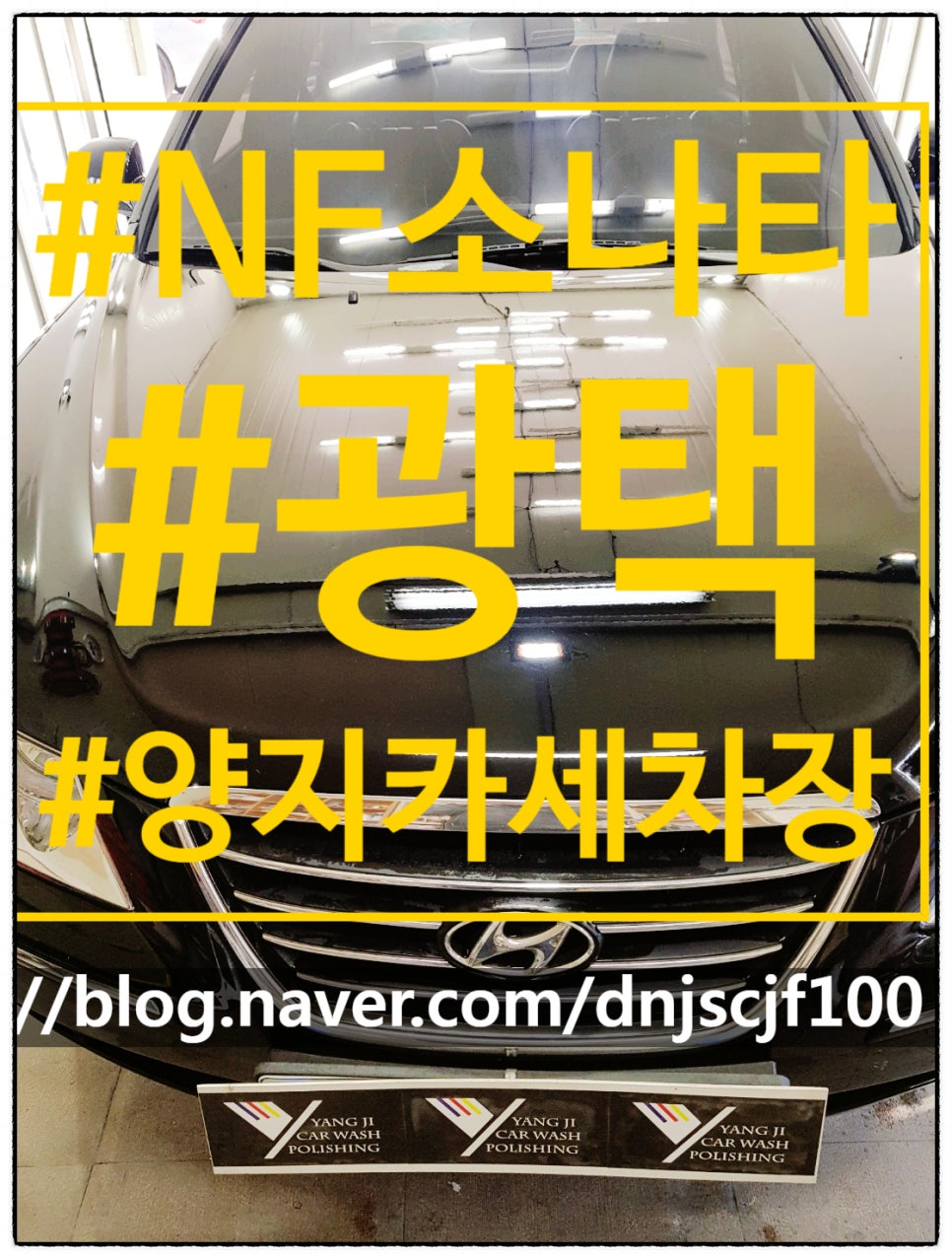 양지광택 이미지