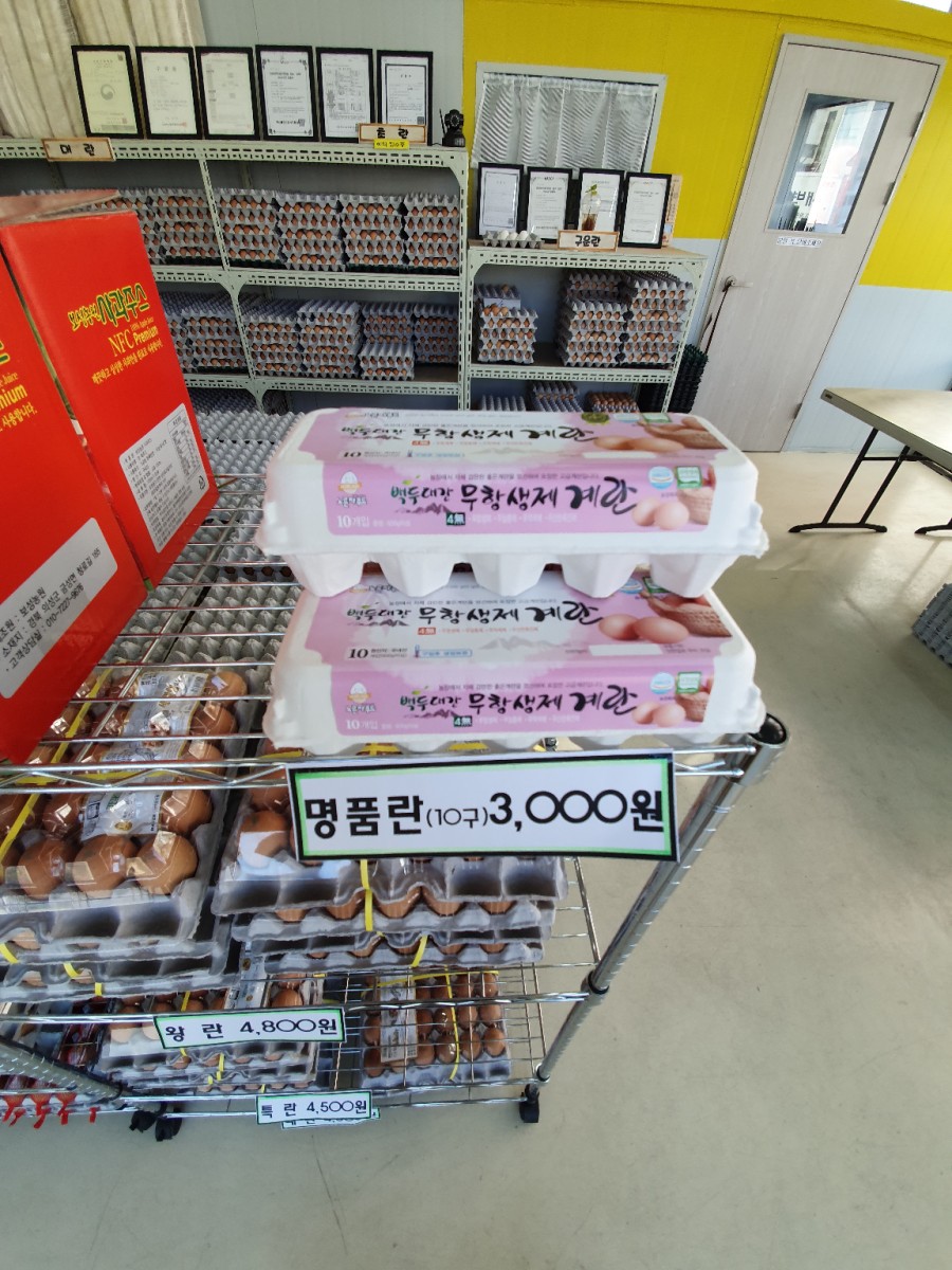 새벽알유통 이미지