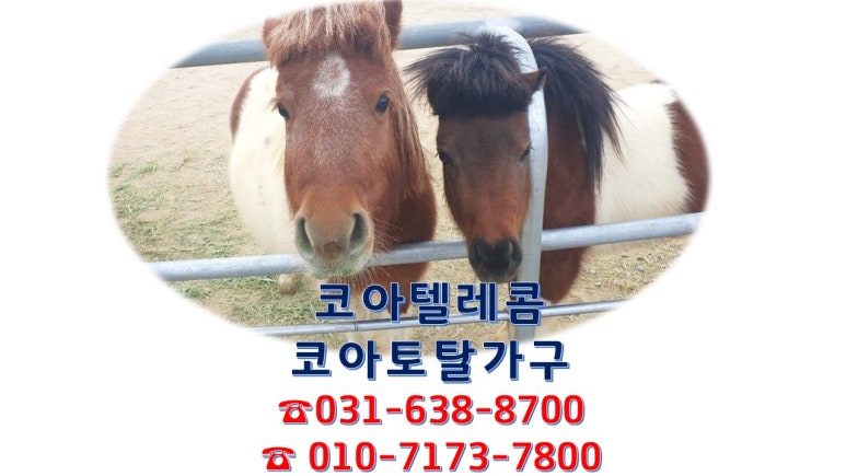 이천토탈가구 이미지