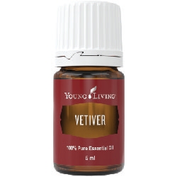 베티버(vetiver) 이미지